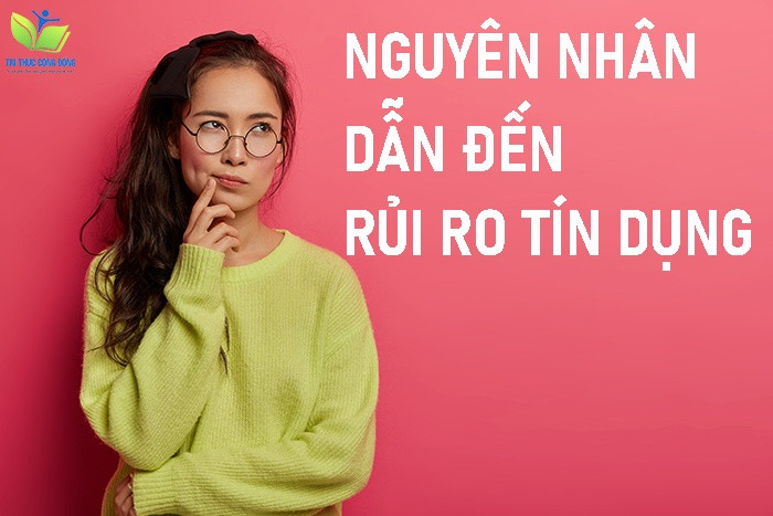 Nguyên nhân dẫn đến rủi ro tín dụng Nguyên nhân dẫn đến rủi ro tín dụng