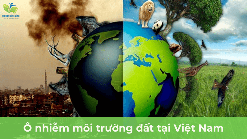 Ô nhiễm môi trường đất tại Việt Nam Ô nhiễm môi trường đất tại Việt Nam