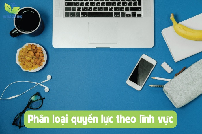 Phân loại quyền lực theo lĩnh vực Phân loại quyền lực theo lĩnh vực