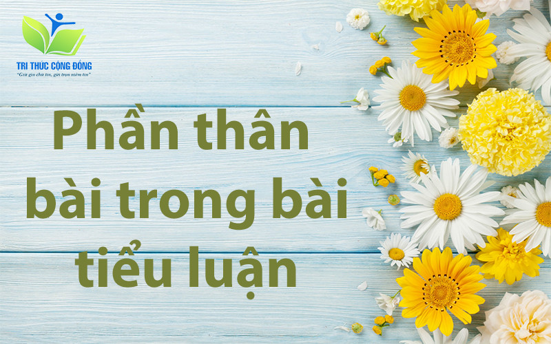 Phần thân bài trong bài tiểu luận