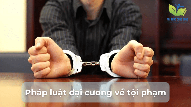 Pháp luật đại cương về tội phạm Pháp luật đại cương về tội phạm