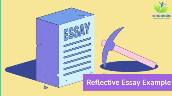 Tổng hợp bài mẫu reflective essay với 6 chủ đề phổ biến Tổng hợp bài mẫu reflective essay với 6 chủ đề phổ biến