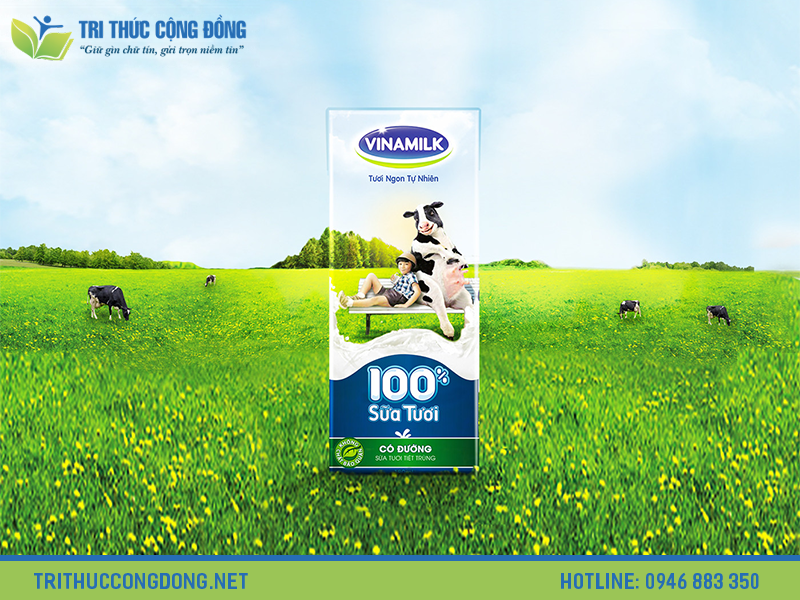 Chiến lược truyền thông