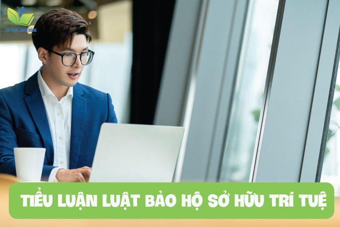 Tiểu luận luật bảo hộ sở hữu trí tuệ