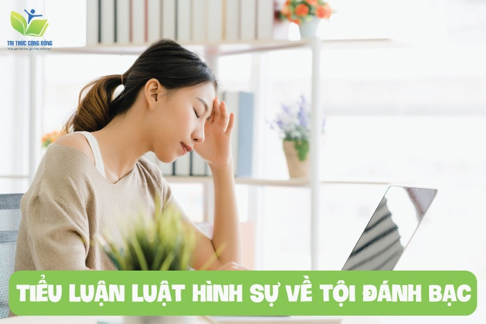 Tiểu luận luật hình sự về tội đánh bạc