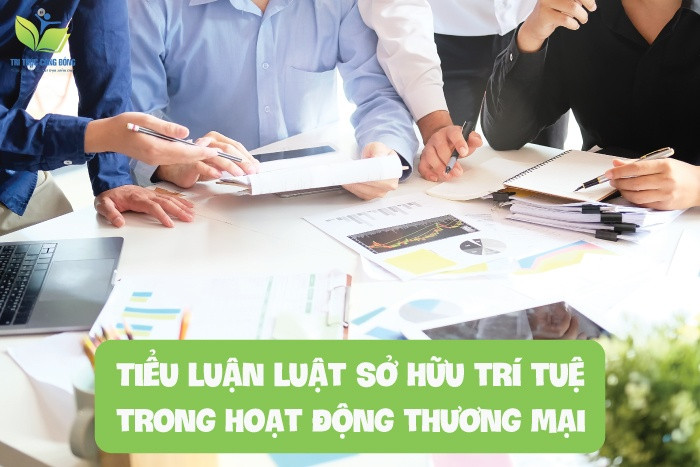 Tiểu luận luật sở hữu trí tuệ trong hoạt động thương mại
