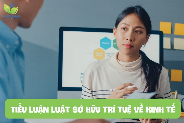 Tiểu luận luật sở hữu trí tuệ về kinh tế