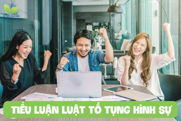 Tiểu luận luật tố tụng hình sự