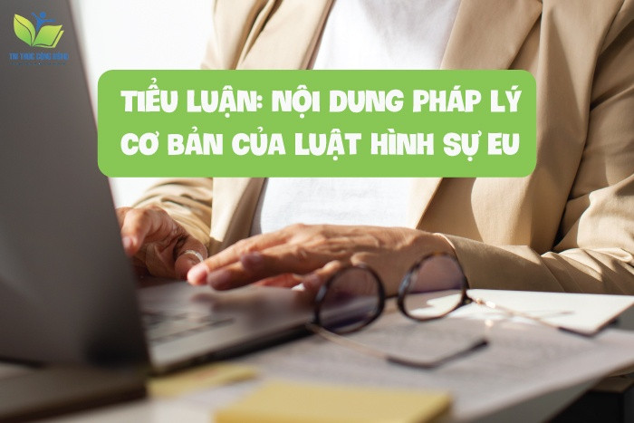 Tiểu luận Nội dung pháp lý cơ bản của luật hình sự EU