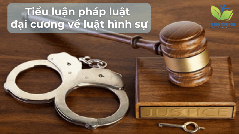 Tiểu luận pháp luật đại cương về luật hình sự Tiểu luận pháp luật đại cương về luật hình sự