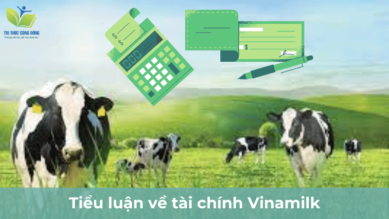 Tiểu luận về tài chính Vinamilk Tiểu luận về tài chính Vinamilk