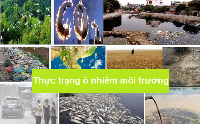 Tiểu luận về thực trạng ô nhiễm môi trường