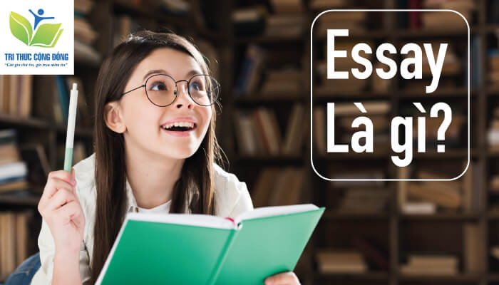 Essay là gì Essay là gì