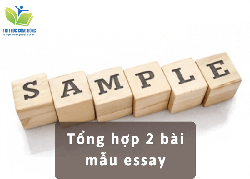 Tổng hợp 2 bài mẫu essay Tổng hợp 2 bài mẫu essay