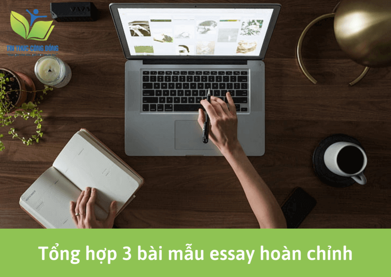 Tổng hợp 3 bài mẫu essay hoàn chỉnh Tổng hợp 3 bài mẫu essay hoàn chỉnh