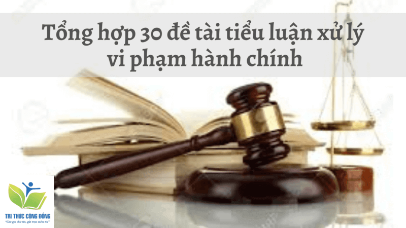 Tổng hợp 30 đề tài tiểu luận xử lý vi phạm hành chính