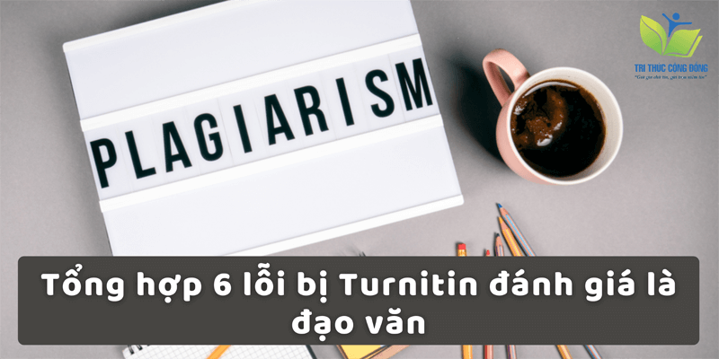 Tổng hợp 6 lỗi bị Turnitin đánh giá là đạo văn