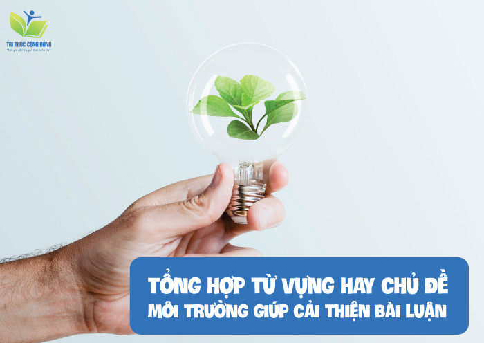 Tổng hợp từ vựng hay chủ đề môi trường giúp cải thiện bài luận Tổng hợp từ vựng hay chủ đề môi trường giúp cải thiện bài luận