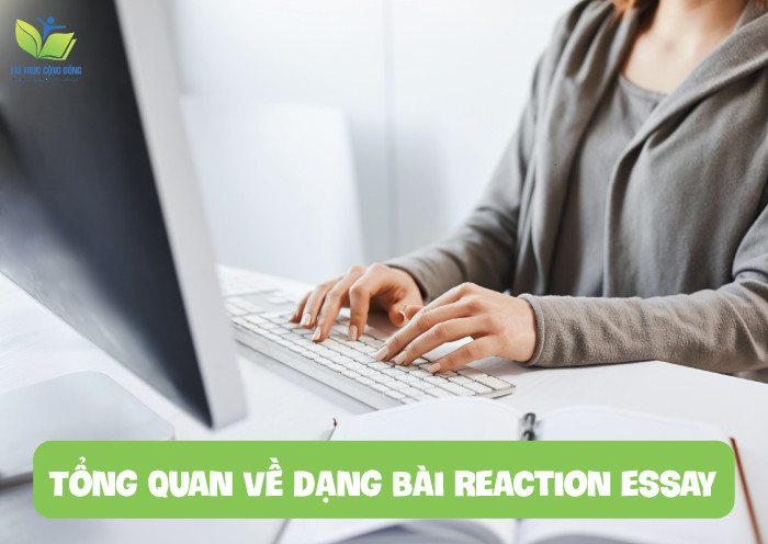 Tổng quan về dạng bài reaction essay