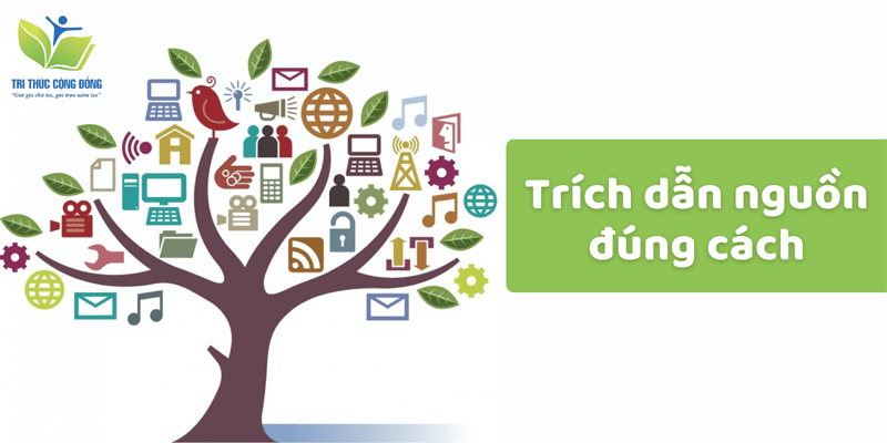 Trích dẫn nguồn đúng cách