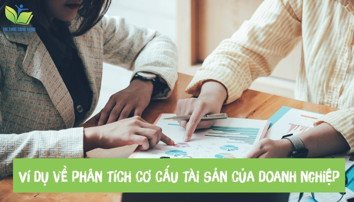 Ví dụ về phân tích cơ cấu tài sản của doanh nghiệp