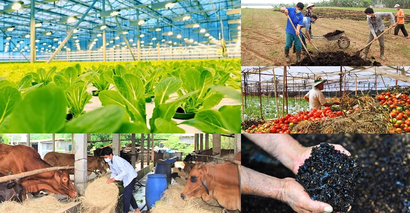 Đề tài luận án tiến sĩ kinh tế nông nghiệp mới nhất