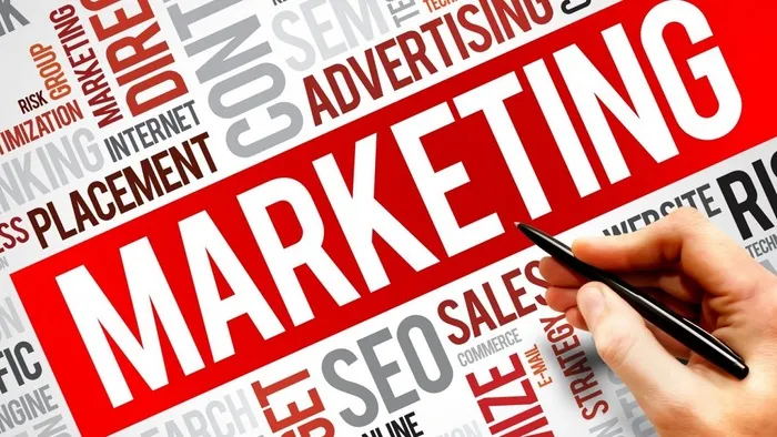 Nhóm đề tài nghiên cứu hành vi tiêu dùng, chiến lược marketing và xây dựng thương hiệu.