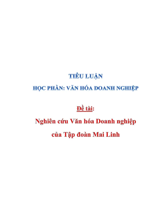Mẫu tiểu luận văn hóa doanh nghiệp của Tập đoàn Mai Linh Mẫu tiểu luận văn hóa doanh nghiệp của Tập đoàn Mai Linh