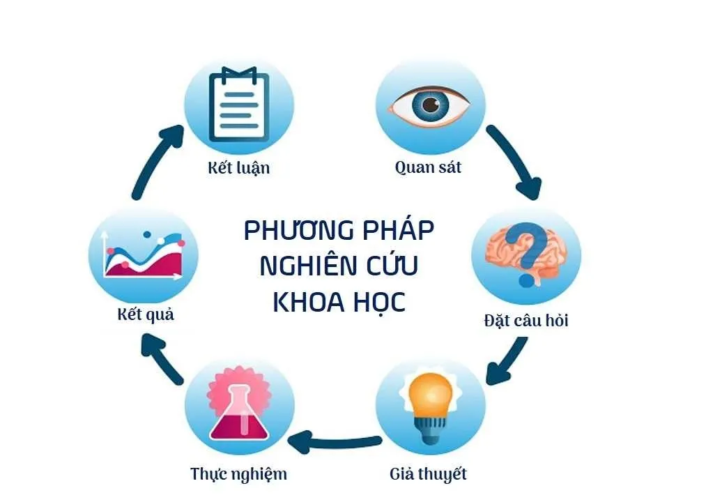 Phương pháp quan sát công cụ thu thập dữ liệu trực tiếp, khách quan và sinh động trong nghiên cứu khoa học.