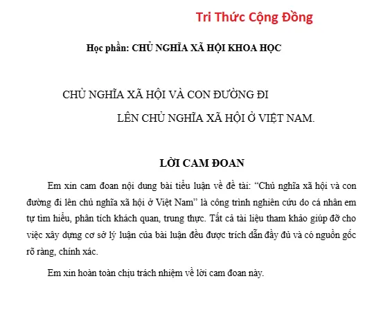 Chủ nghĩa xã hội và con đường đi lên chủ nghĩa xã hội ở Việt Nam