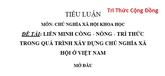 Tiểu luận Chủ nghĩa xã hội khoa học Liên minh công – nông – trí thức trong quá trình xây dựng Chủ nghĩa xã hội ở Việt Nam