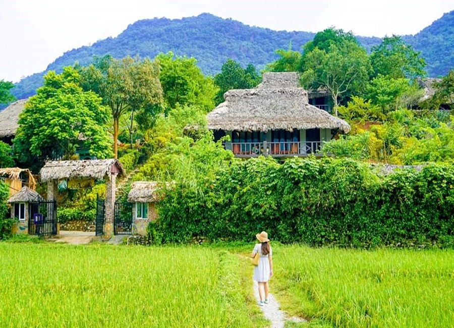 Mẫu luận văn phát triển du lịch cộng đồng trong chuyển đổi số tại Mai Châu