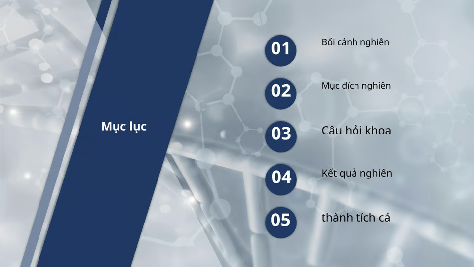 Mẫu Slide Full Bộ 30–50 Trang Hoàn Chỉnh