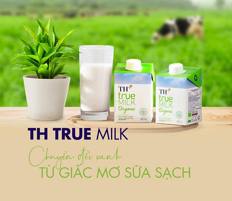 Mẫu tiểu luận chiến lược Marketing Mix (4P) của TH True Milk Mẫu tiểu luận chiến lược Marketing Mix (4P) của TH True Milk