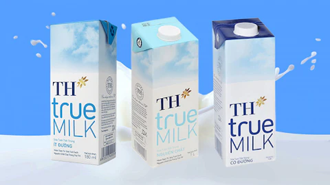 Mẫu tiểu luận chiến lược tăng trưởng dài hạn của TH True Milk đến năm 2030 Mẫu tiểu luận chiến lược tăng trưởng dài hạn của TH True Milk đến năm 2030