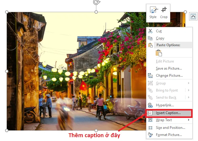 Thêm chú thích cho hình ảnh trong Word
