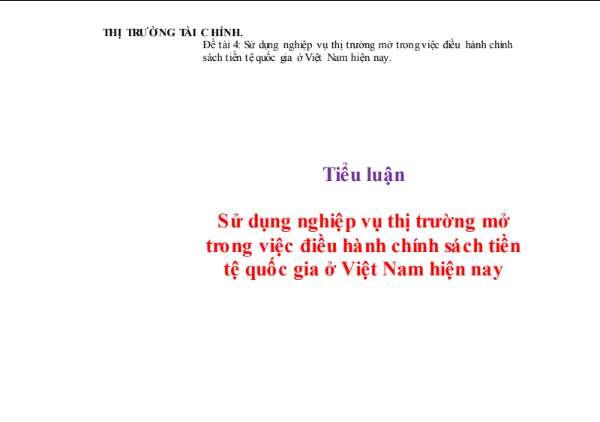 tiểu luận tài chính tiền tệ và hoạt động hợp nhất ngân hàng tại việt nam