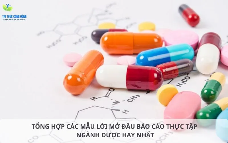 Các mẫu lời mở đầu báo cáo thực tập ngành dược hay nhất