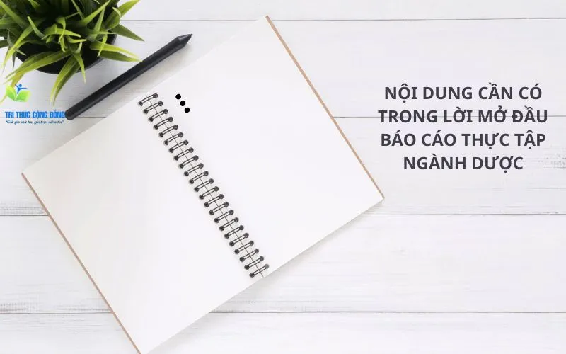 Nội dung cần có trong lời mở đầu báo cáo thực tập ngành dược