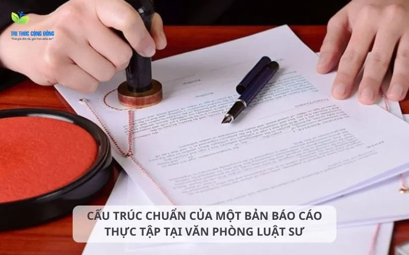 Cấu trúc chuẩn của một bản báo cáo thực tập tại văn phòng luật sư