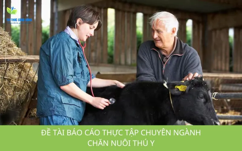 Đề tài báo cáo thực tập chuyên ngành chăn nuôi thú y​ dễ làm