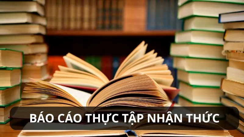 Hướng dẫn cách viết báo cáo thực tập nhận thức chuyên nghiệp