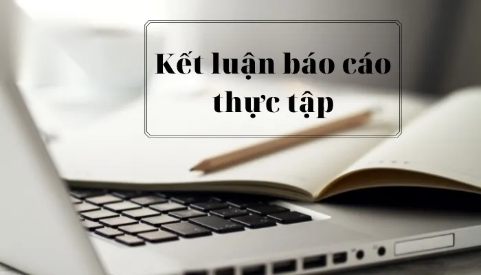 Kết luận đánh giá hiệu quả hoạt động kinh doanh du lịch và định hướng phát triển